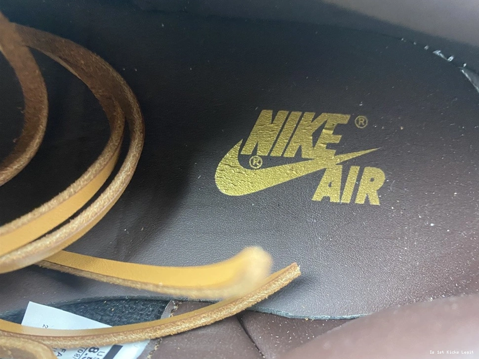 OWT X 1 MENS LWE AIR AQ0818-203 X JORDAN CUSTOMS 0316